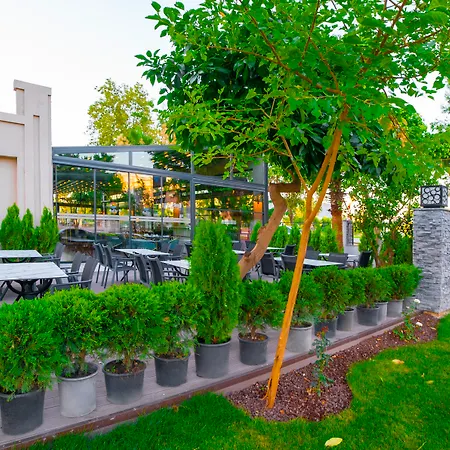 Otel Leaf Port 4*